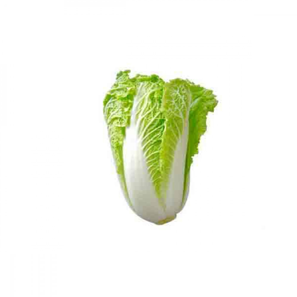 Chinese Cabbage - 1Kg  Chinese Cabbage - 1Kg