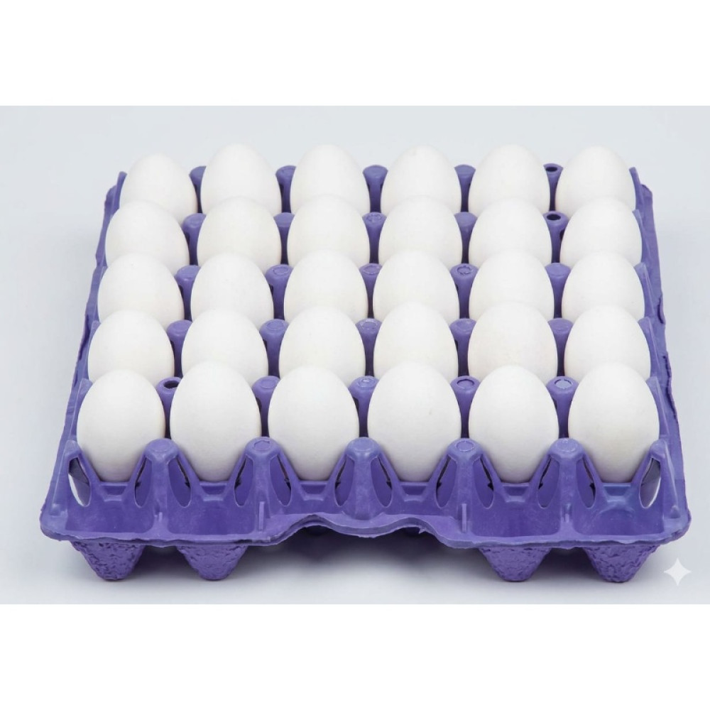 AL RAWDETEN EGGS 60/70 TRAY 30 EGGS