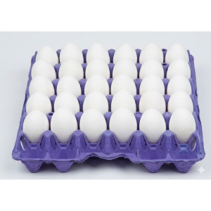 AL RAWDETEN EGGS 60/70 TRAY 30 EGGS