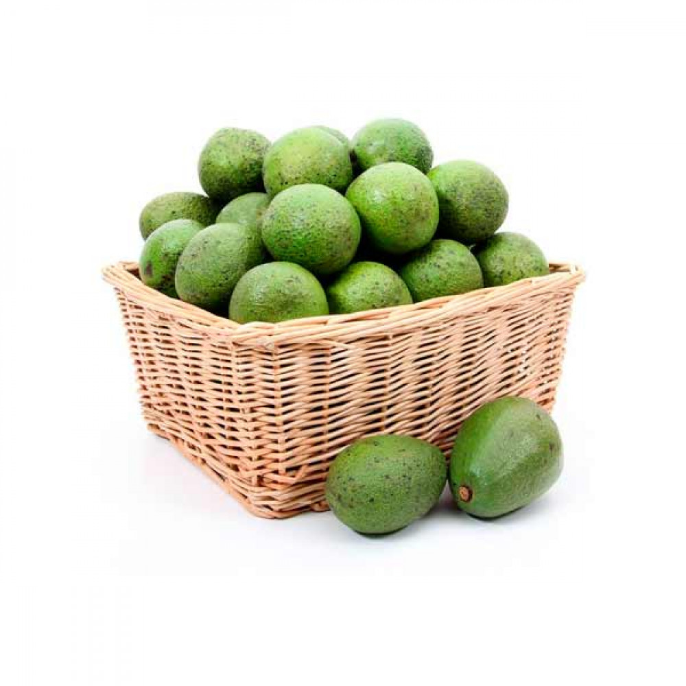 Avocado - Kenya - 500gm (Approx)  Avocado - Kenya - 500gm (Approx)