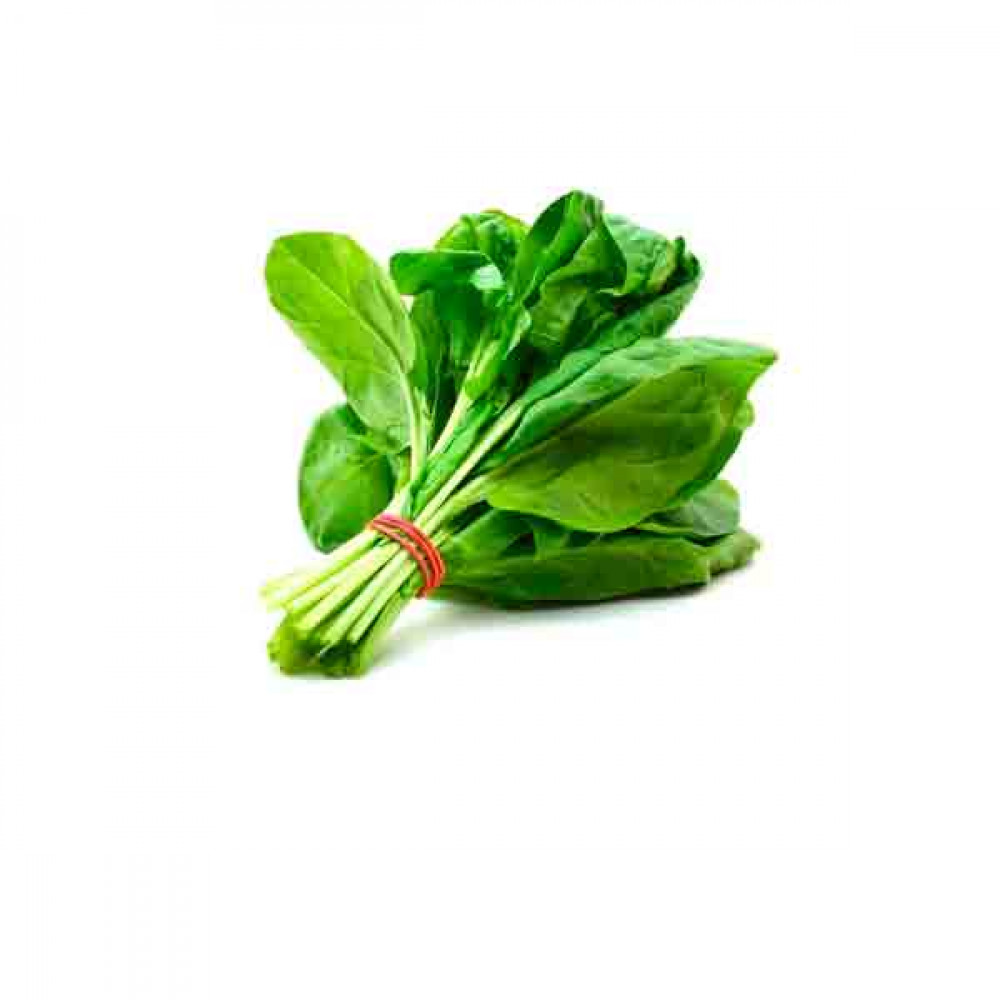 Green Spinach - Bunch  Green Spinach - Bunch