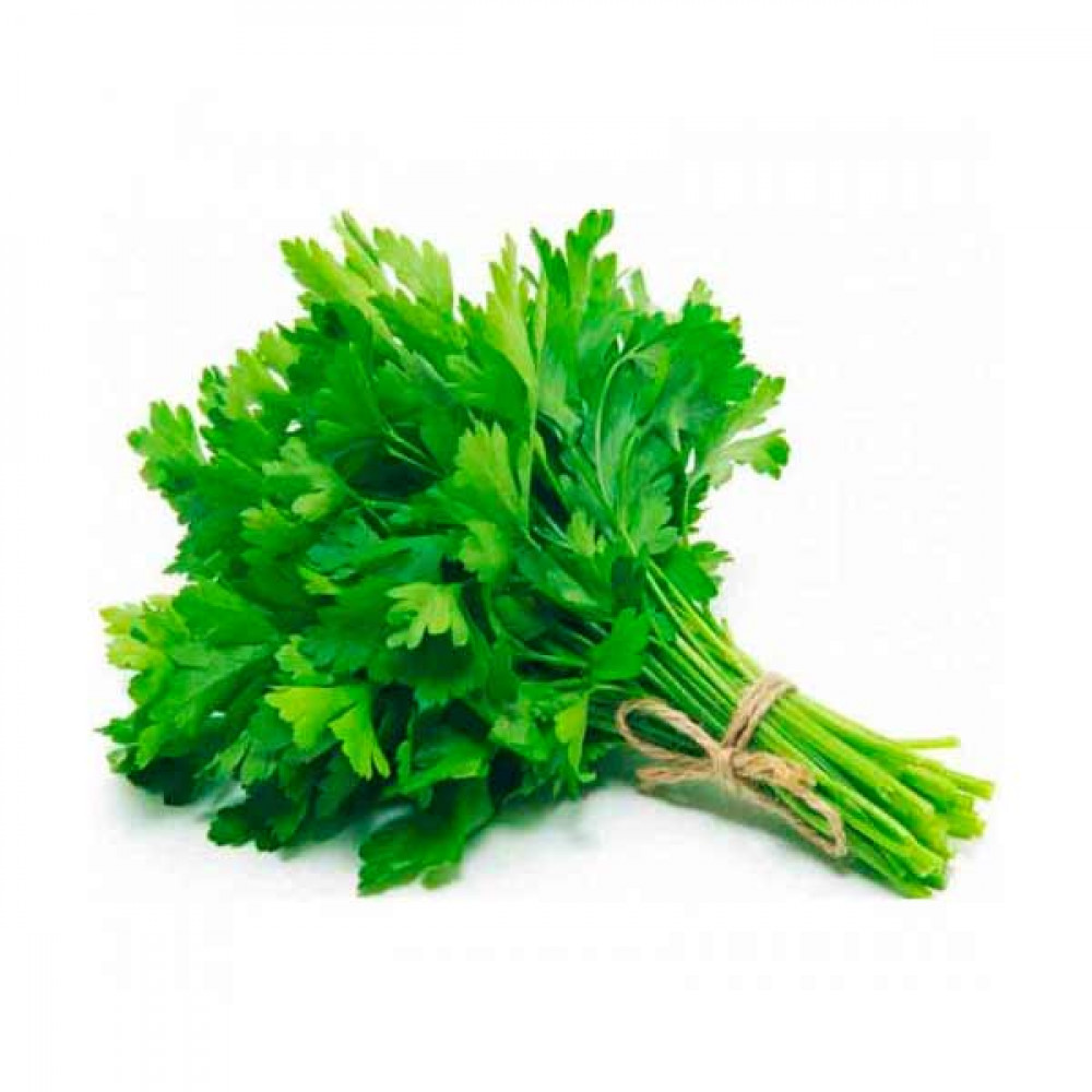 Coriander Leaves Bunch  Coriander Leaves Bunch