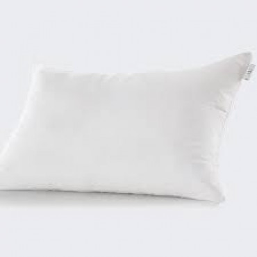 Homlee Pillow 700Gm Rch 12481