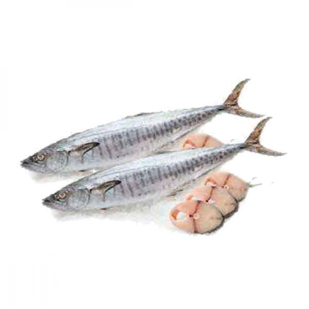 Fresh King Fish Medium - 1Kg (Approx)  Fresh King Fish Medium - 1Kg (Approx)