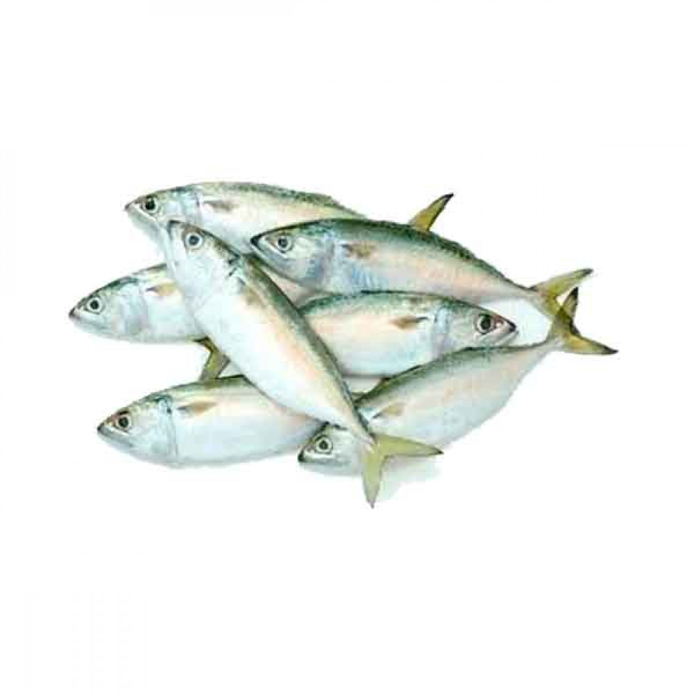 Fresh Mackerel Fish Big - 1Kg (Approx)  Fresh Mackerel Fish Big - 1Kg (Approx)