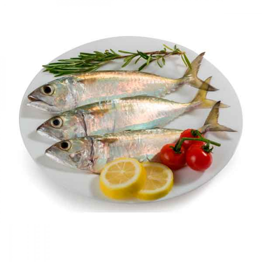 Fresh Mackerel Fish Small - 1Kg (Approx)  Fresh Mackerel Fish Small - 1Kg (Approx)