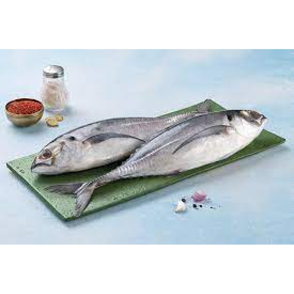 PARA MACKEREL 1 KGS