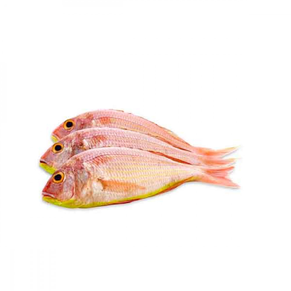 Fresh Sultan Ibrahim Fish - 1Kg (Approx)  Fresh Sultan Ibrahim Fish - 1Kg (Approx)