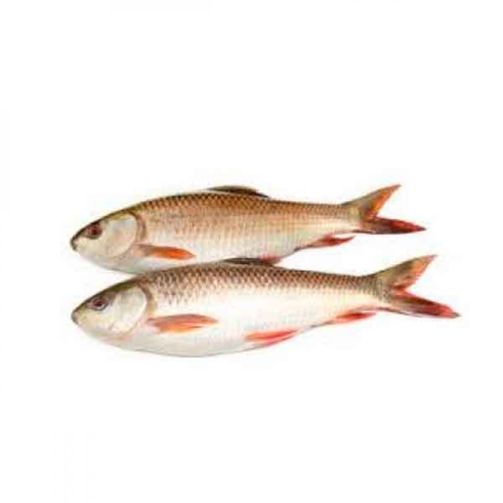 Fresh Rohu Fish  - 1Kg (Approx)  Fresh Rohu Fish  - 1Kg (Approx)