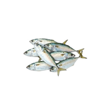 MACKERAL FISH 1 KG