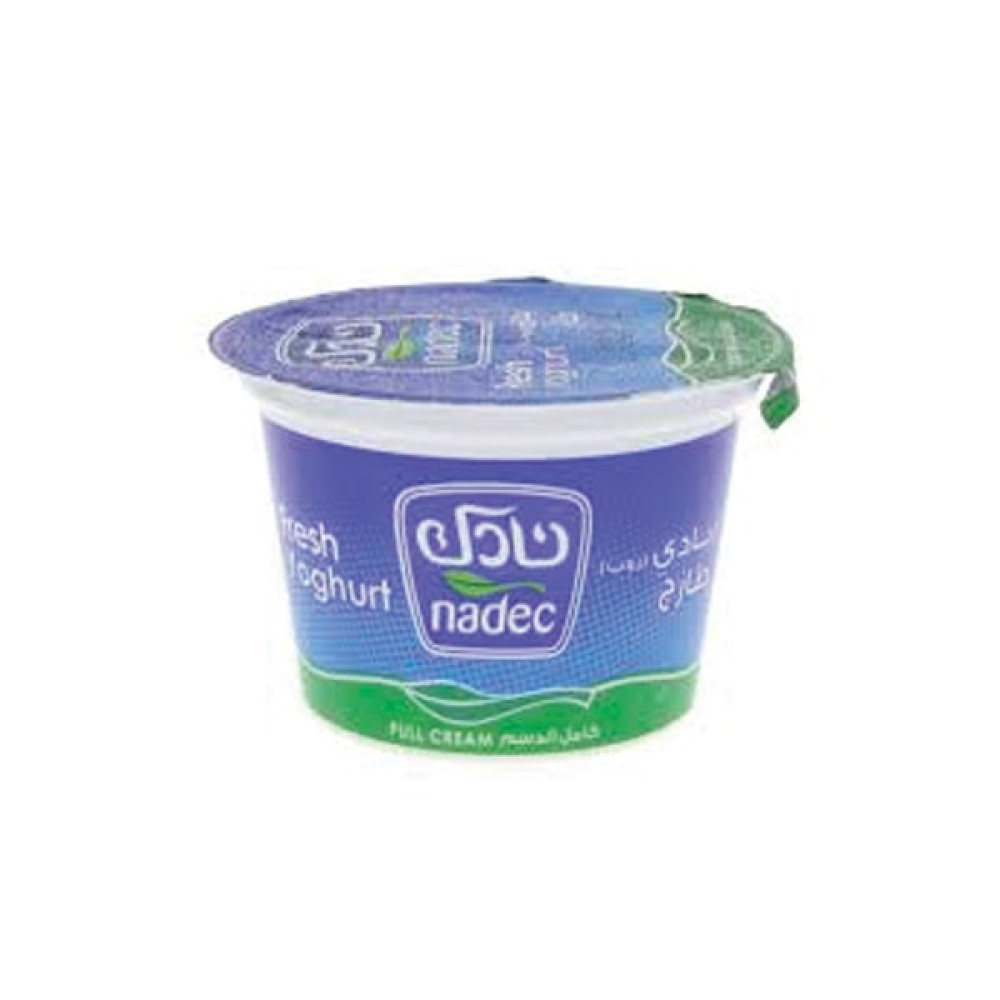 NADA FULL FAT YOGHURT 170GM 