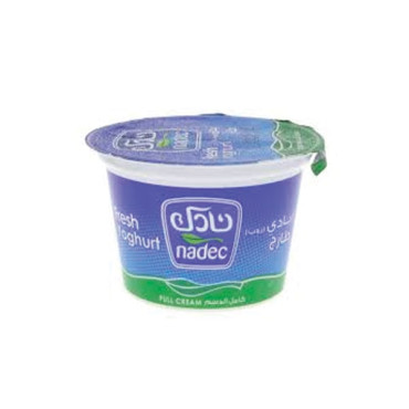 NADA FULL FAT YOGHURT 170GM 
