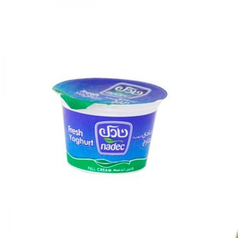 Nadec Full Fat Yoghurt 170gm  Nadec Full Fat Yoghurt 170gm