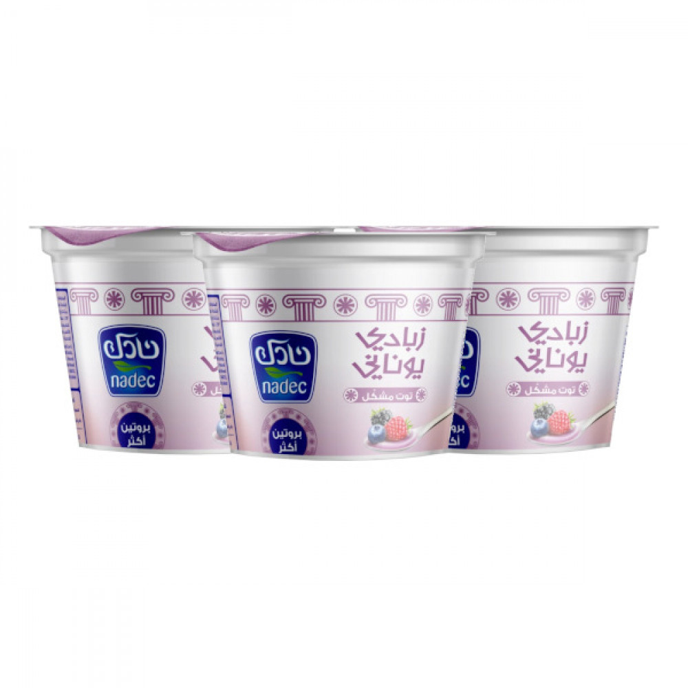 Nadec Greek Yogurt Mix Berry 160gm 2 + 1 Free  Nadec Greek Yogurt Mix Berry 160gm 2 + 1 Free