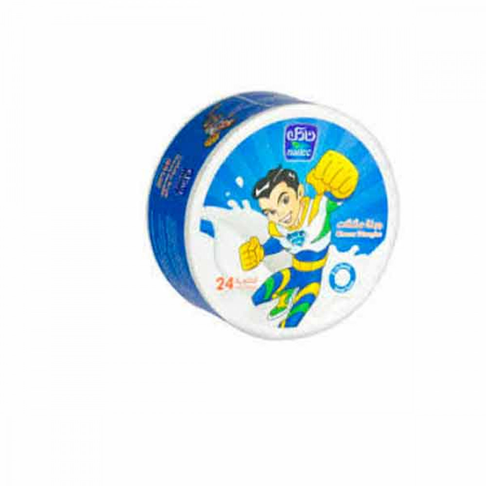 Nadec Triangle Cheese 24 Portion 360gm  Nadec Triangle Cheese 24 Portion 360gm