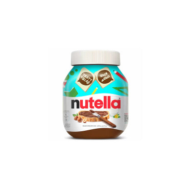 NUTELLA BISCUITES 304GM