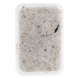Grated Coconuts / Pack  Grated Coconuts / Pack