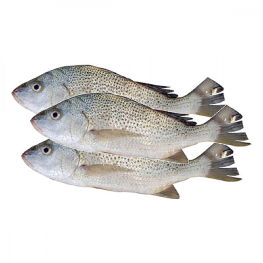 Fresh Nagroor Fish 1Kg (Approx) 